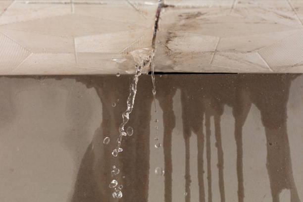 Professional Structural Drying technician working in Virginia, MN